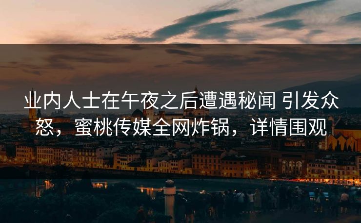业内人士在午夜之后遭遇秘闻 引发众怒，蜜桃传媒全网炸锅，详情围观
