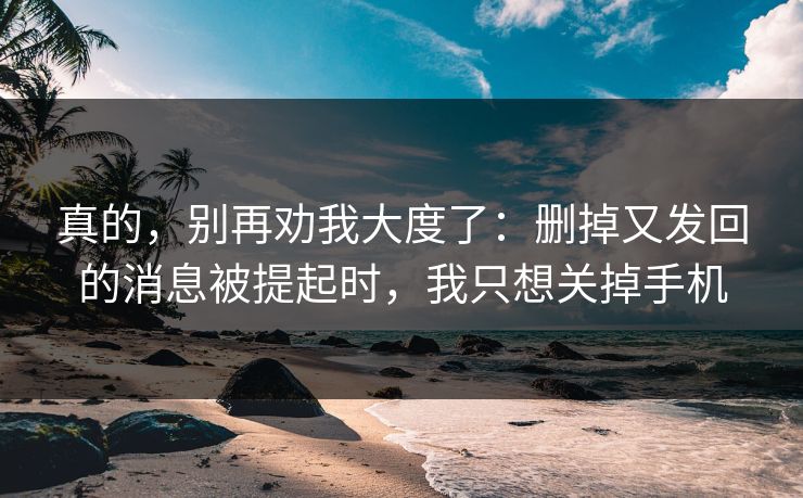 真的，别再劝我大度了：删掉又发回的消息被提起时，我只想关掉手机